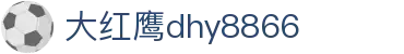 大红鹰dhy8866(中国)股份有限公司